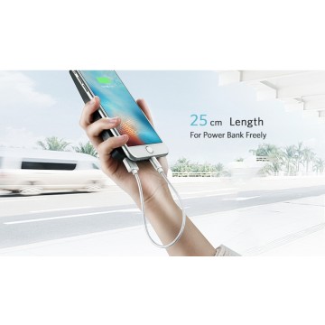 UGREEN 30589 Lightning to USB2.0 Sync & Charging Cable 2M  Gold