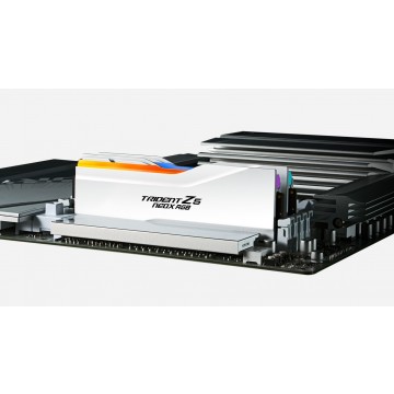 G.SKILL F5-6000A2636H16GX2-TZ5NXRW 32GB (2 x 16GB)/ DDR5 6000 